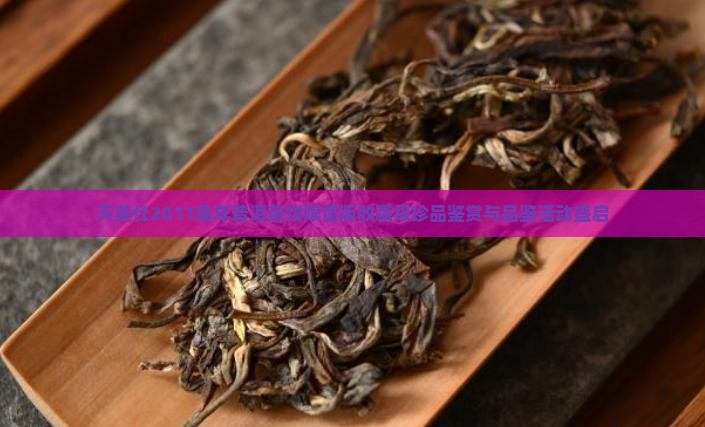 天美仕2011兔年普洱茶饼