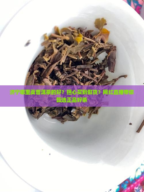 济宁哪里卖普洱茶的好