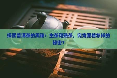 普洱生茶与熟茶的区别在哪里
