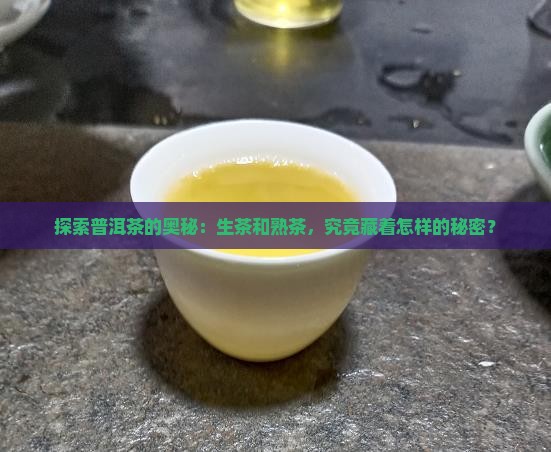 普洱生茶与熟茶的区别在哪里