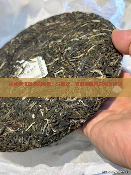 普洱茶散茶要洗茶2次比较好