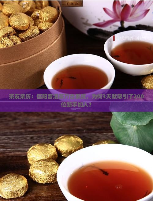 信阳普洱茶万合系统