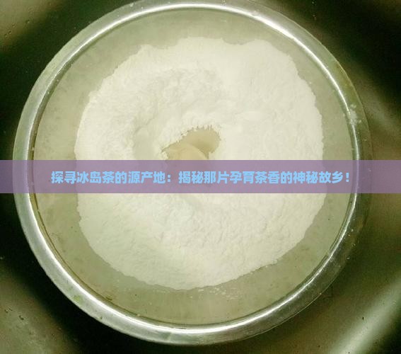 冰岛茶故乡介绍