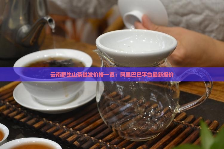 云南野山茶的价格多少一斤