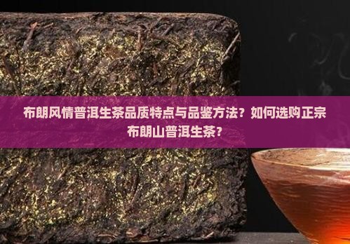 布朗风情普洱生茶