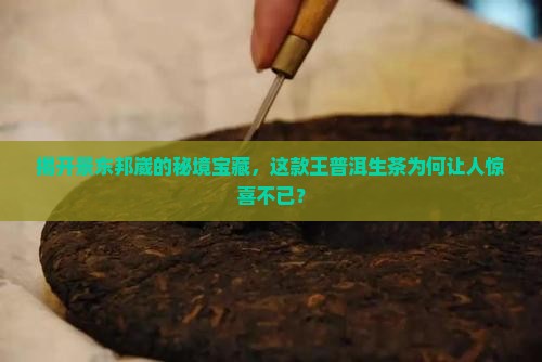 景东邦崴王普洱茶生茶