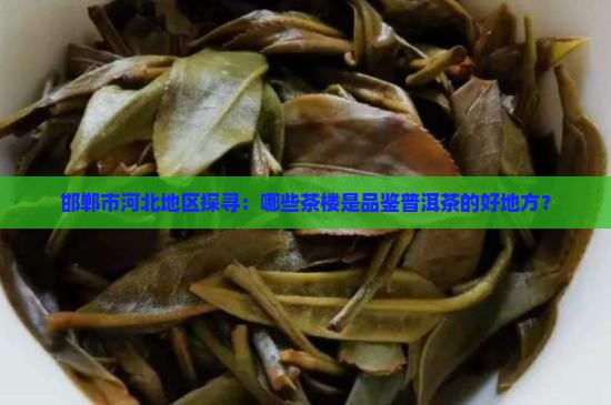 邯郸卖普洱茶的地方有哪些