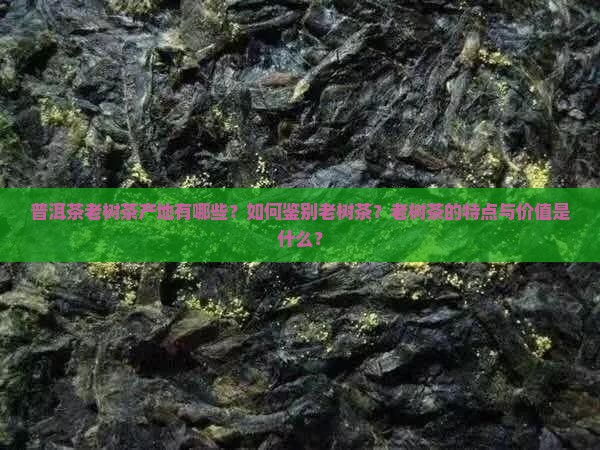 普洱茶老树茶产地
