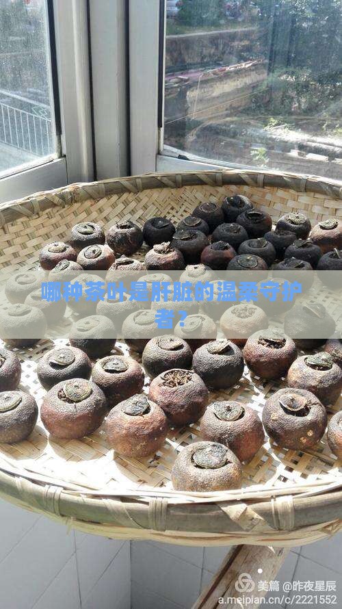 保护肝的茶叶是什么