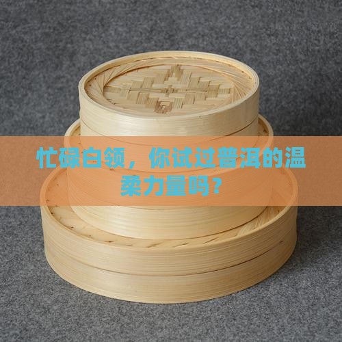 办公室白领普洱茶