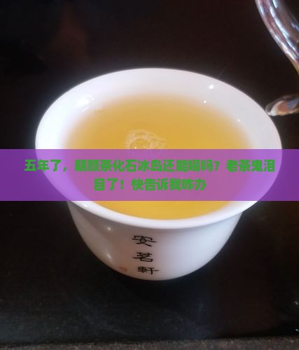 朝颜茶化石冰岛五年