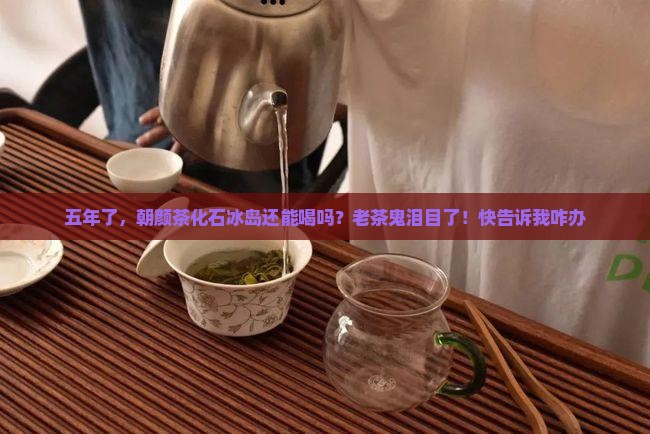 朝颜茶化石冰岛五年