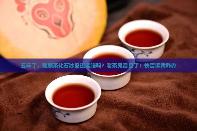 朝颜茶化石冰岛五年