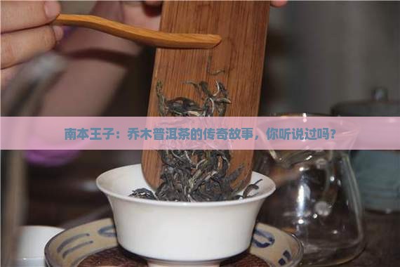 南本王子乔木普洱茶 南本王子乔木普洱茶