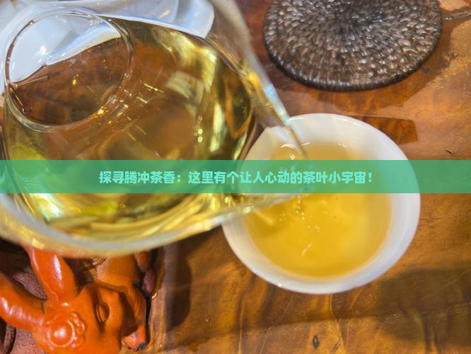 腾冲茶叶交易综合市场