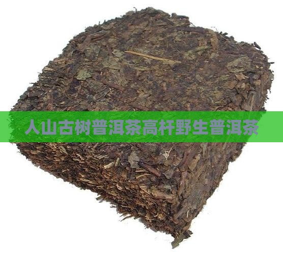 野人山普洱茶高杆