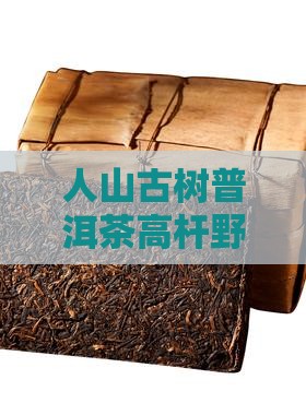 野人山普洱茶高杆