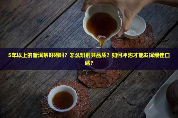 5年以上的普洱茶