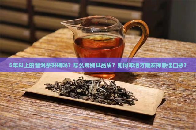 5年以上的普洱茶
