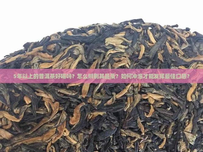 5年以上的普洱茶