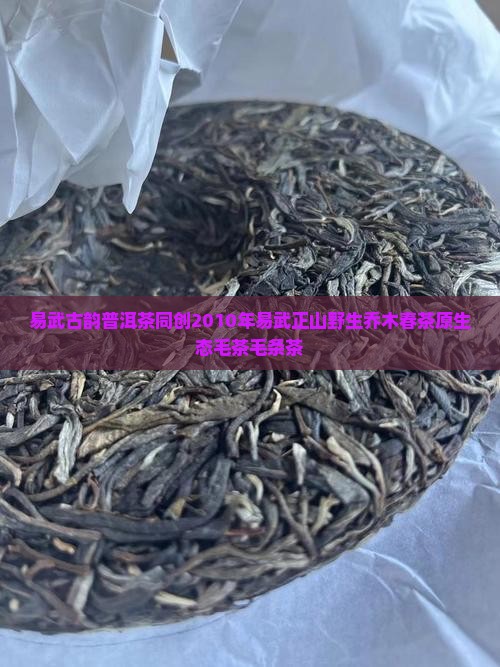 易武古韵普洱茶同创 易武古韵普洱茶同创