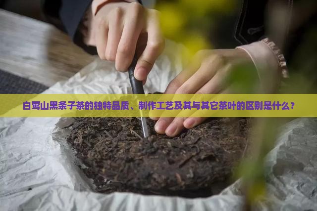 白莺山黑条子茶特点