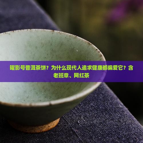曜影号普洱茶饼
