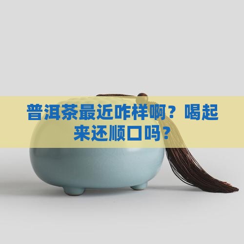 普洱茶现在好不好喝呀怎么回事