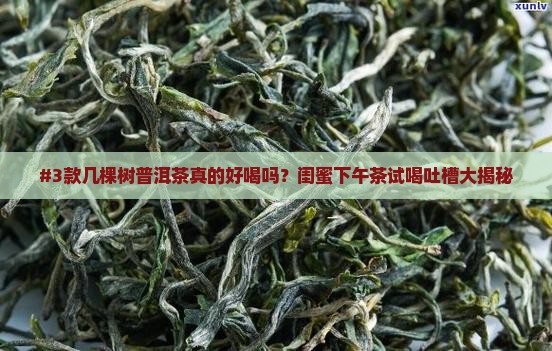 几棵树牌普洱茶好喝吗