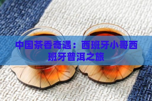 西班牙小伙做普洱茶