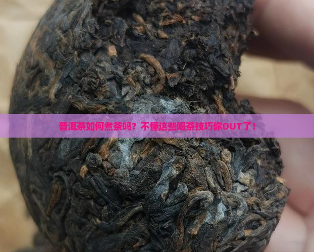 普洱茶如何煮茶吗