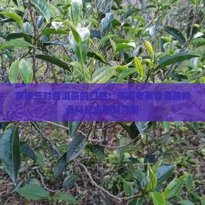 章家三对普洱茶的口感