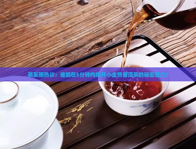 小金熟普洱茶品牌