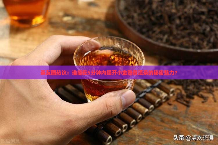 小金熟普洱茶品牌