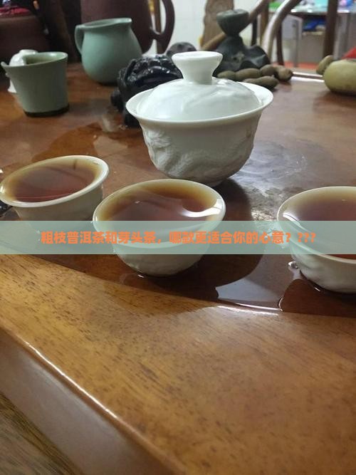 粗枝普洱茶和芽头茶