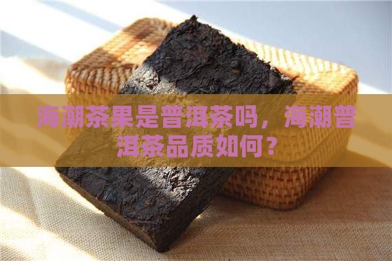 海潮茶果是普洱茶吗