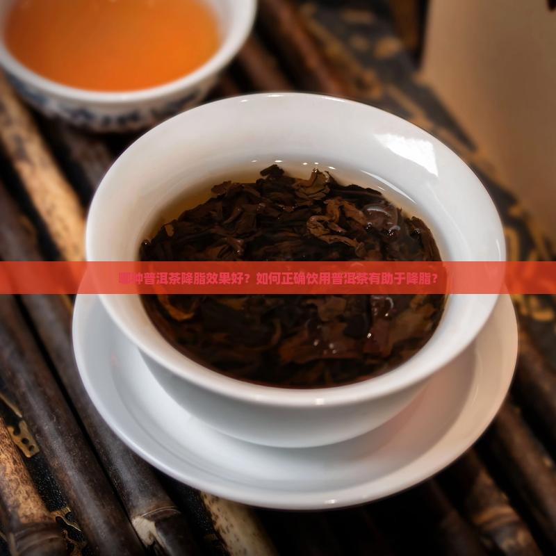 普洱茶哪种降脂