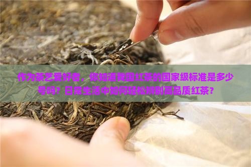 红茶的国家标准号是什么