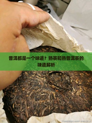 熟普洱茶喝着都一个味