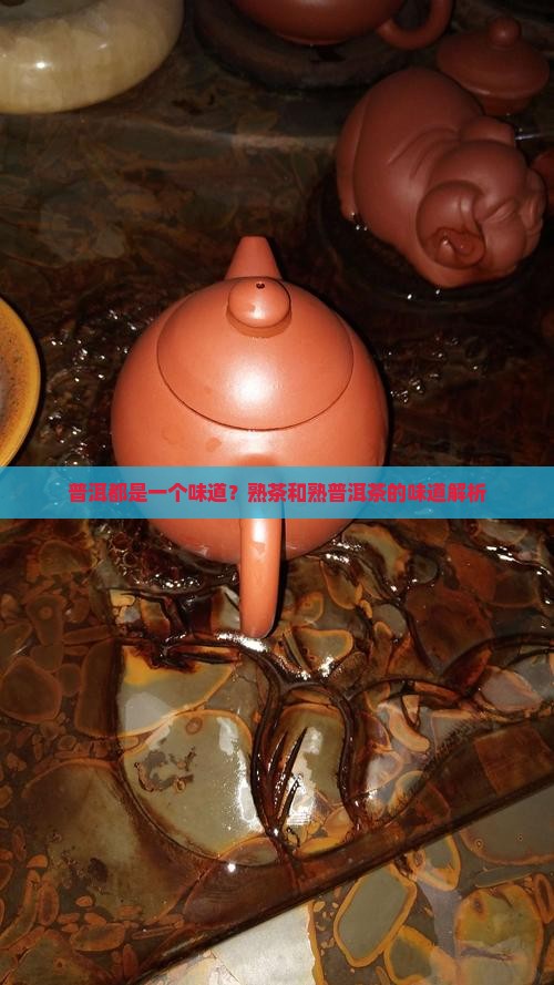 熟普洱茶喝着都一个味