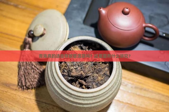 青海省适合存普洱茶吗