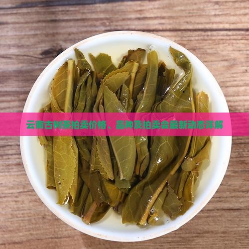 云南古树茶拍卖