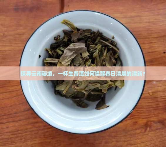 云南茗片普洱茶生茶