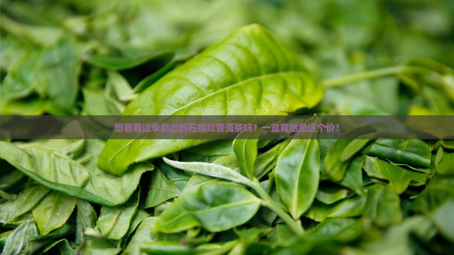石榴红普洱茶价格多少钱一盒