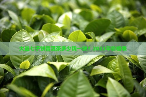 大益七子饼普洱茶多少钱一块 大益七子饼普洱茶多少钱一块