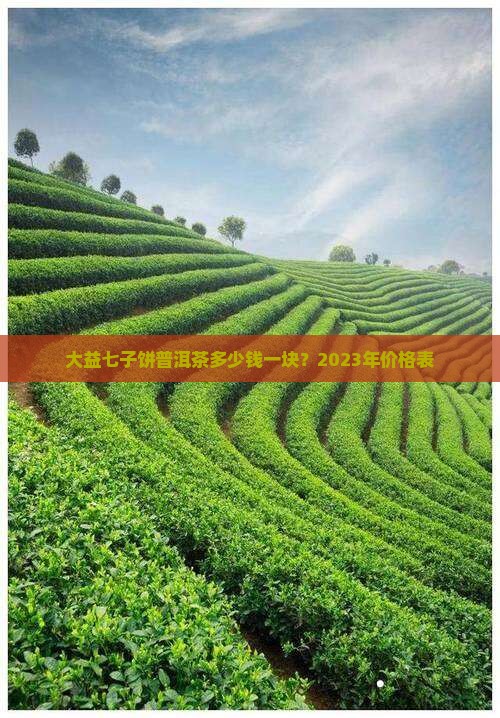大益七子饼普洱茶多少钱一块 大益七子饼普洱茶多少钱一块