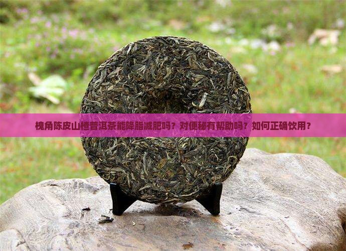 槐角陈皮山楂普洱茶