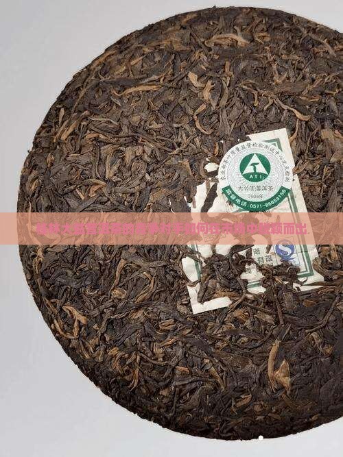 桂林大益普洱茶的竞争对手