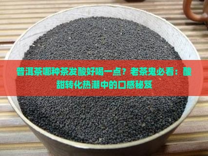 普洱茶哪种茶发酸好喝一点