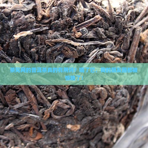 茶窝网的普洱茶有用吗